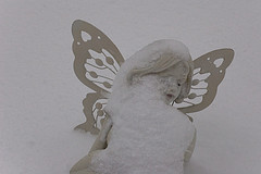 Snow Faerie