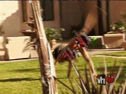 I bet that lawn smells like a slaughterhouse on a Friday night now. Beef everywhere. I bet that lawn smells like a slaughterhouse on a Friday night now. Beef everywhere.